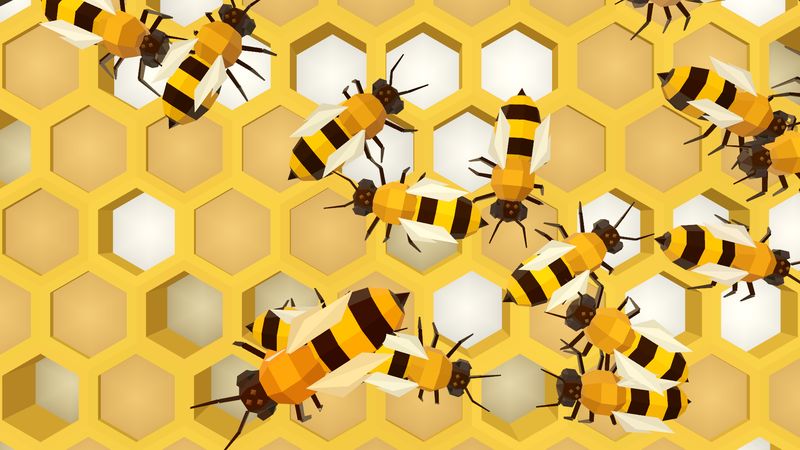 Bees close up on the comb, a big-eyed drone among the workers