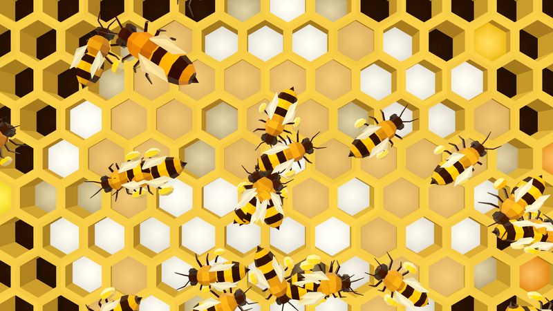 Close view of bees on the comb carrying lumps of yellow pollen on their hind legs
